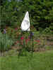 anthurium_base1.jpg (207538 bytes)