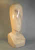 coifii1.jpg (23682 bytes)